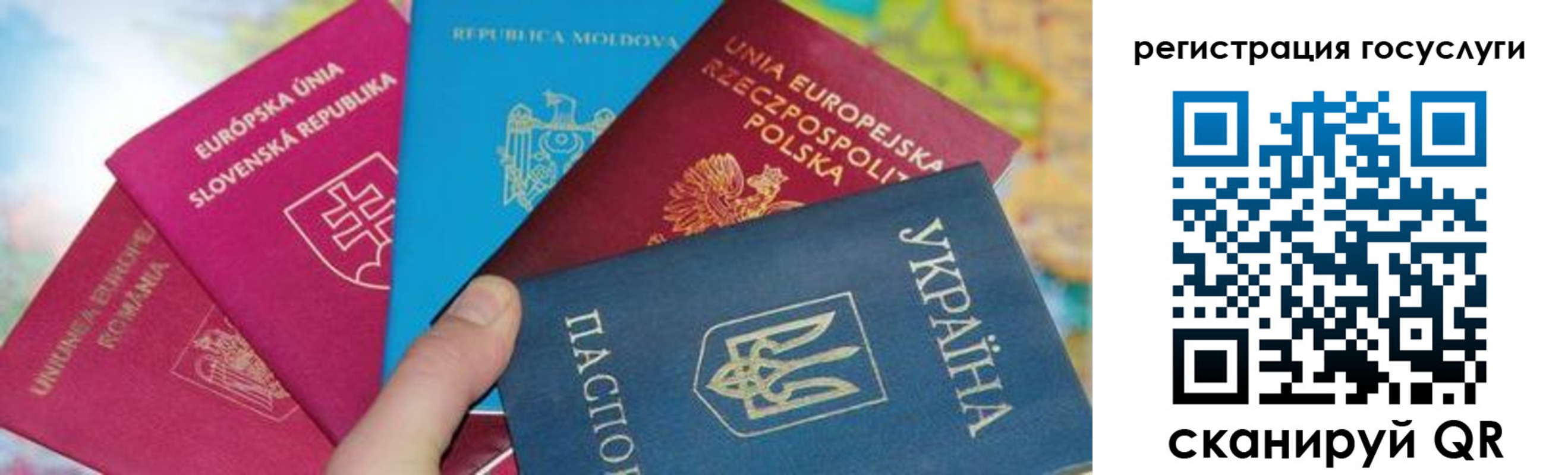 прописка гарантия в Читинской области